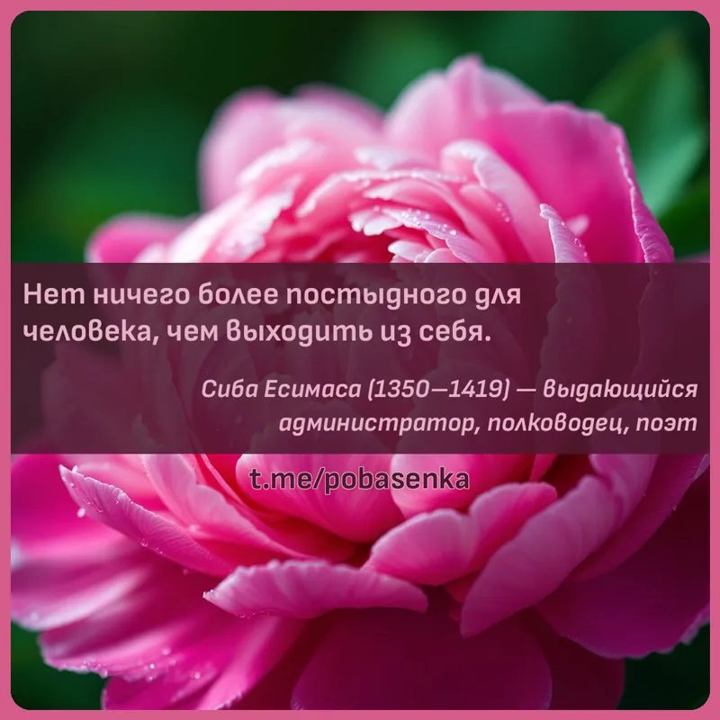«Нет ничего более постыдного для человека, чем выходить из...» height="550" width="550"