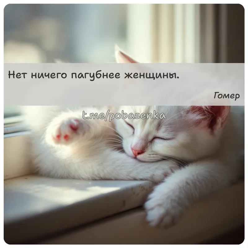 «Нет ничего пагубнее...» height="550" width="550"