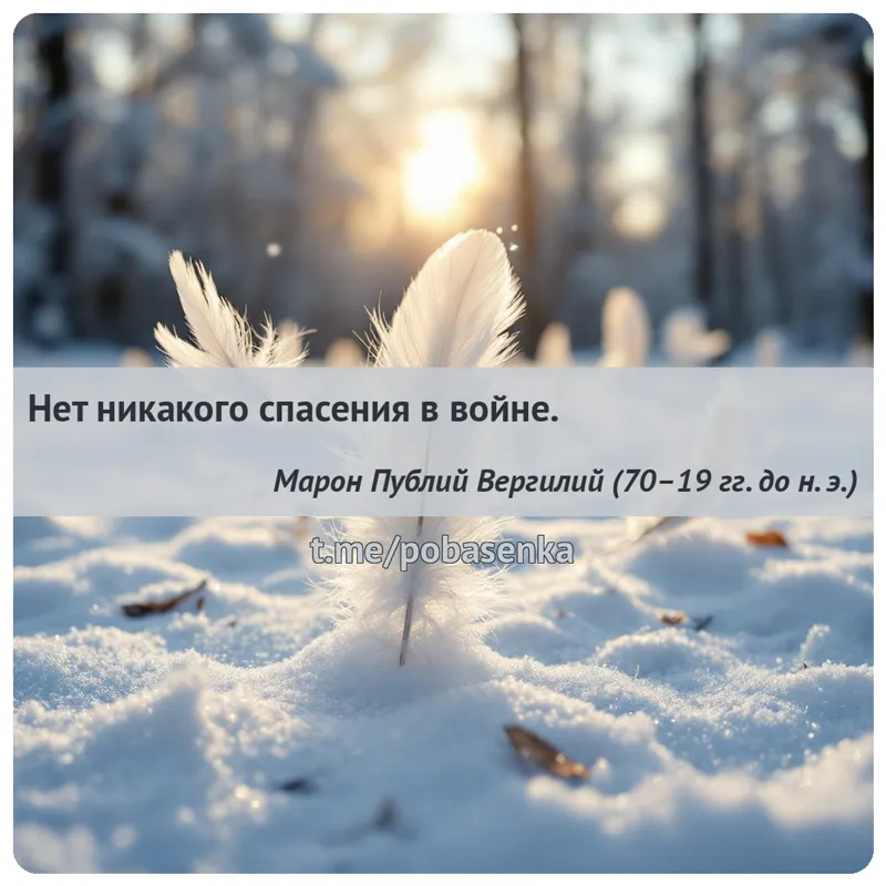 «Нет никакого спасения в...» height="550" width="550"