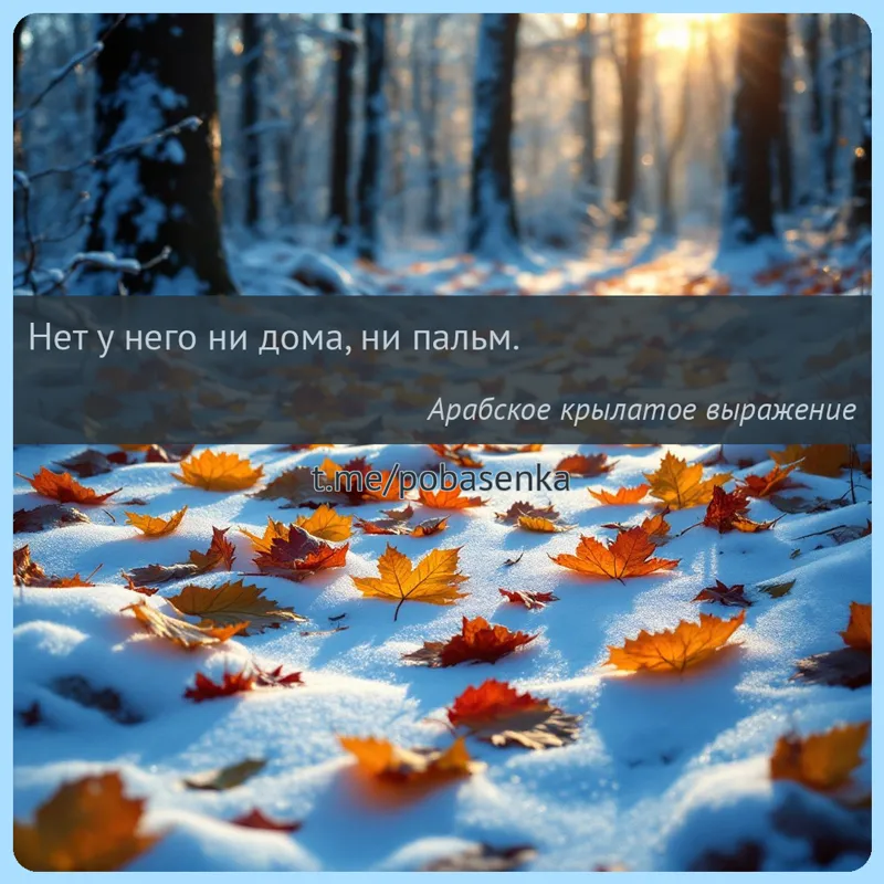 «Нет у него ни дома, ни...» height="550" width="550"