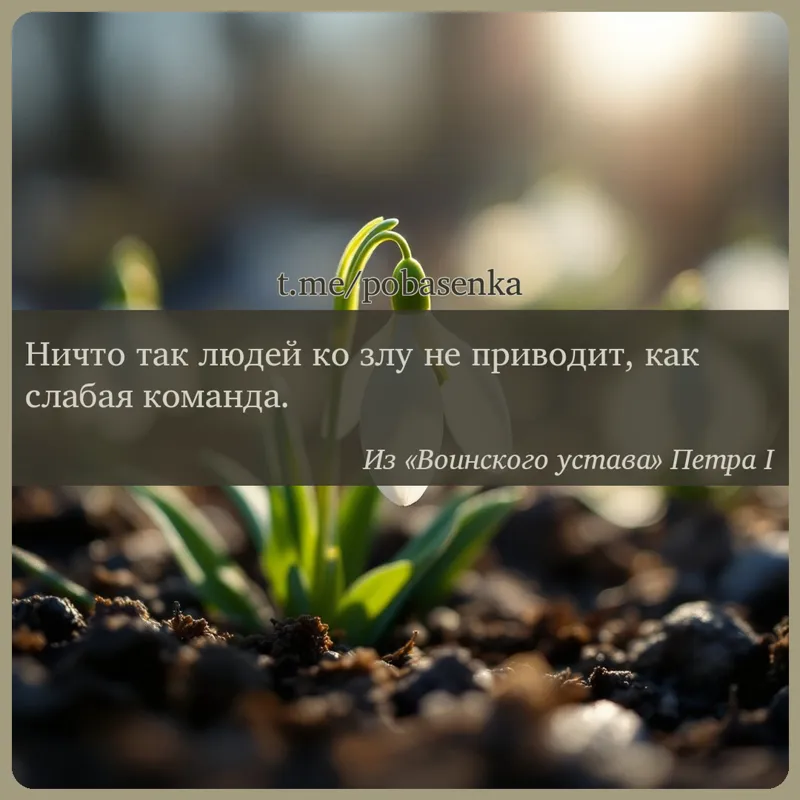 «Ничто так людей ко злу не приводит, как слабая...» height="550" width="550"