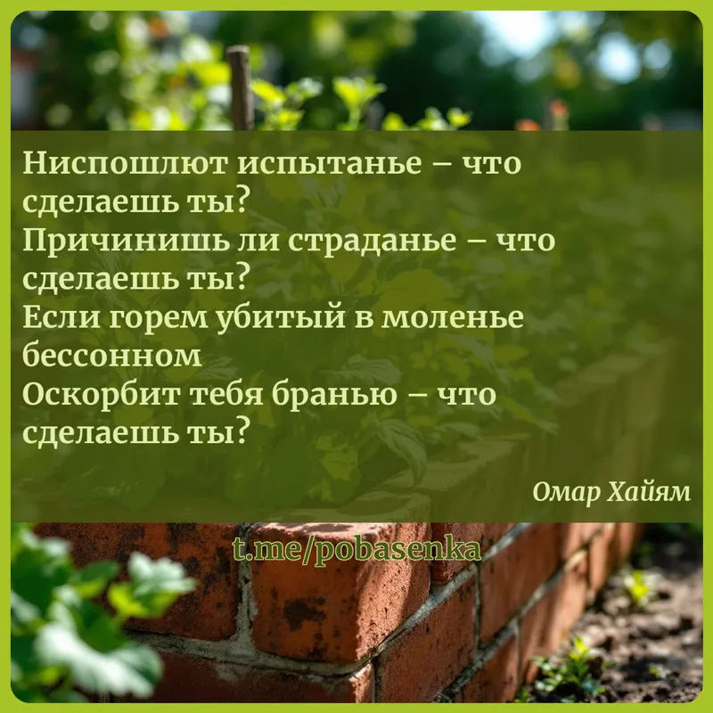 «Ниспошлют испытанье что сделаешь ты? Причинишь ли страданье что сделаешь ты? Если горем убитый в моленье бессонном Оскорбит...» height="550" width="550"