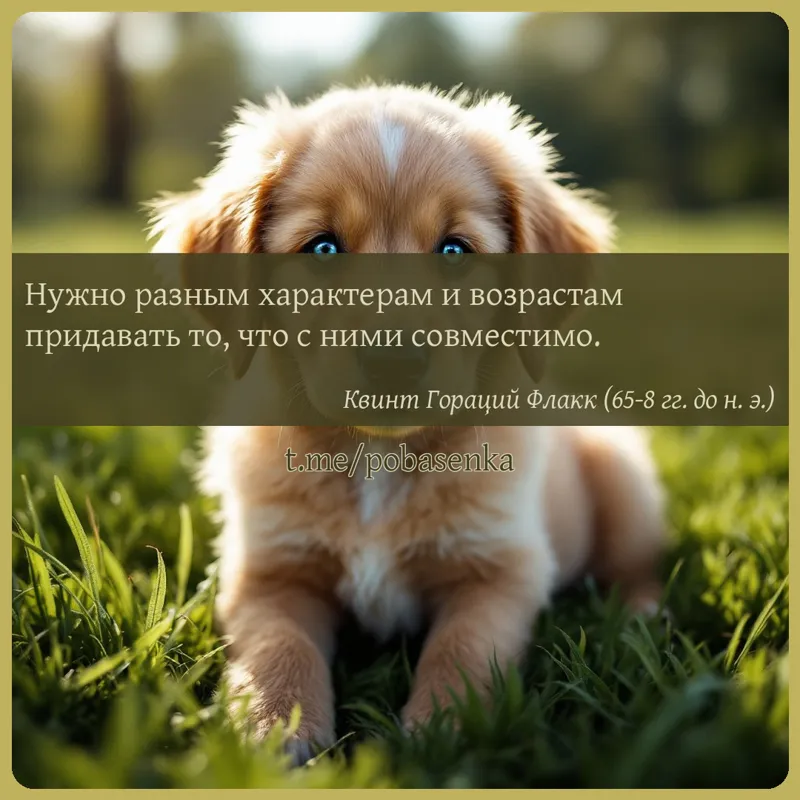 «Нужно разным характерам и возрастам придавать то, что с ними...» height="550" width="550"