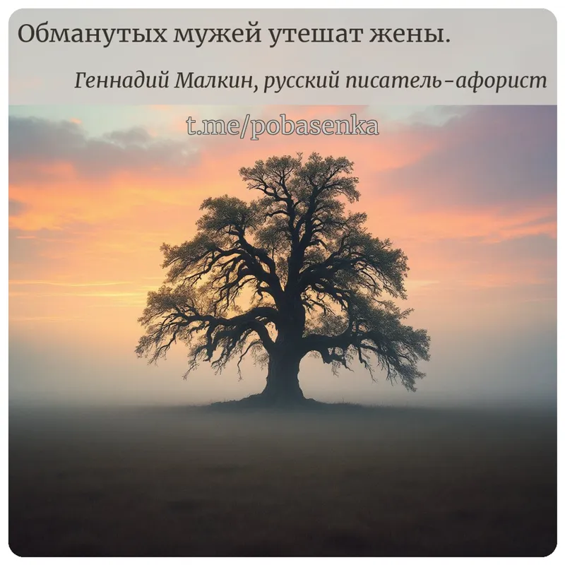«Обманутых мужей утешат...» height="550" width="550"