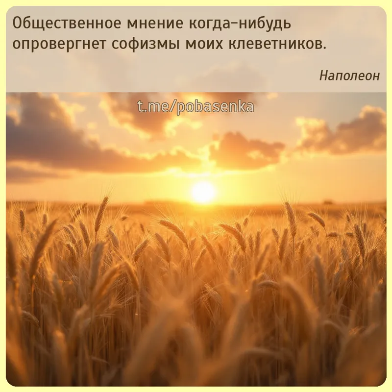 «Общественное мнение когда нибудь опровергнет софизмы моих...» height="550" width="550"