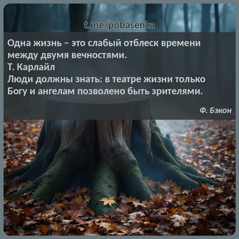 «Одна жизнь это слабый отблеск времени между двумя вечностями. Т. Карлайл Люди должны знать в театре жизни только Богу и...» height="550" width="550"