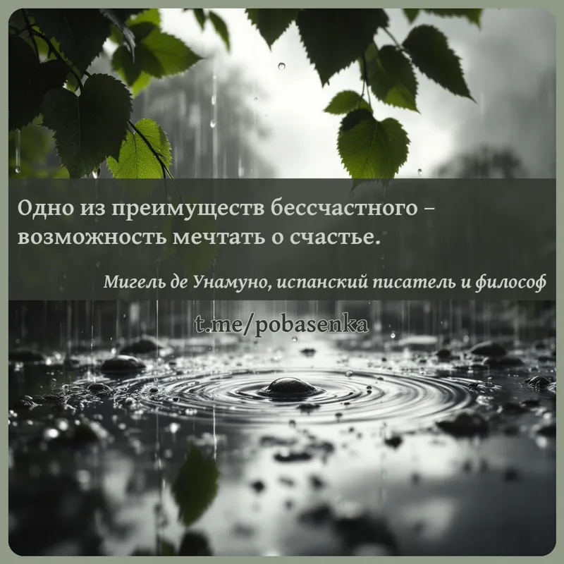 «Одно из преимуществ бессчастного возможность мечтать о...» height="550" width="550"