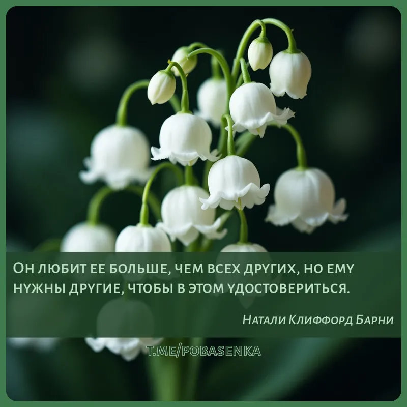 «Он любит ее больше, чем всех других, но ему нужны другие, чтобы в этом...» height="550" width="550"