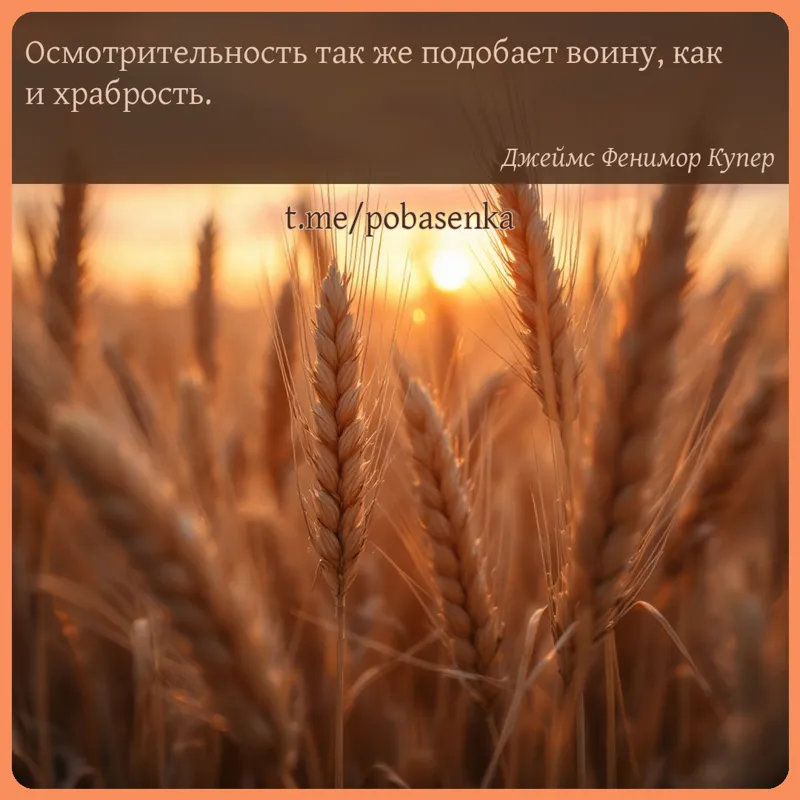 «Осмотрительность так же подобает воину, как и...» height="550" width="550"