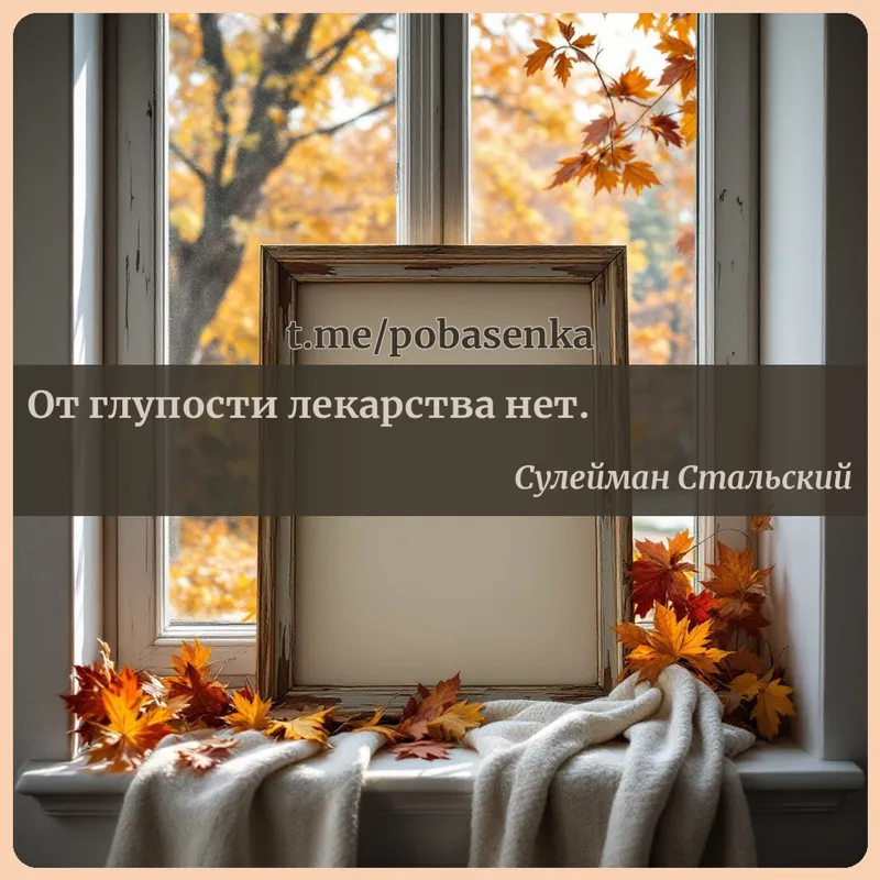 «От глупости лекарства...» height="550" width="550"