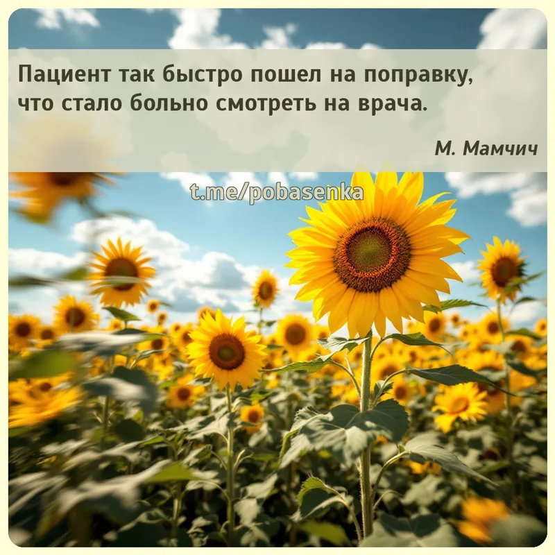 «Пациент так быстро пошел на поправку, что стало больно смотреть на...» height="550" width="550"