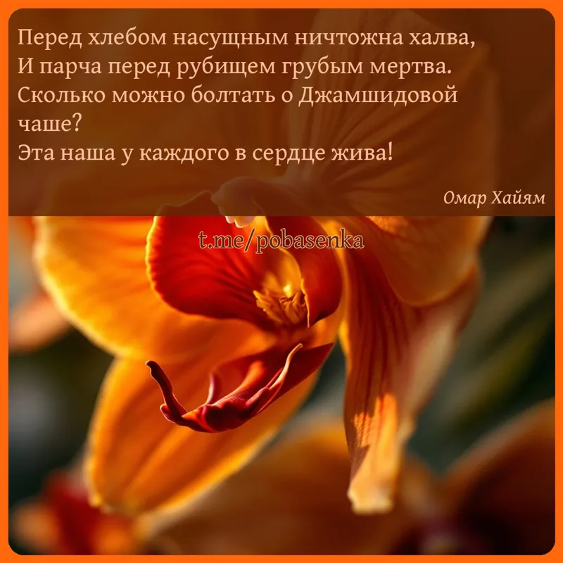 «Перед хлебом насущным ничтожна халва, И парча перед рубищем грубым мертва. Сколько можно болтать о Джамшидовой чаше? Эта...» height="550" width="550"