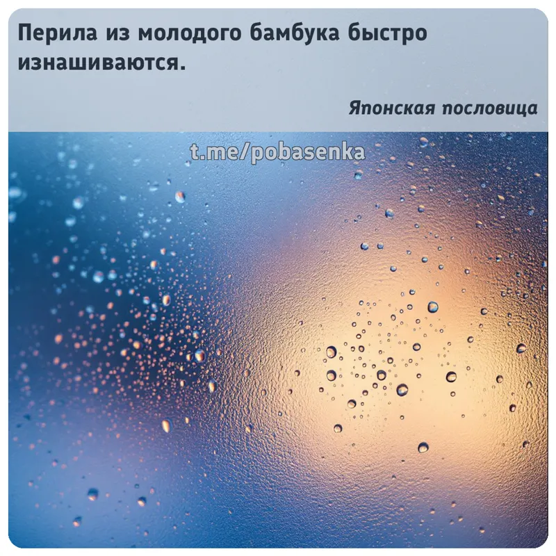 «Перила из молодого бамбука быстро...» height="550" width="550"