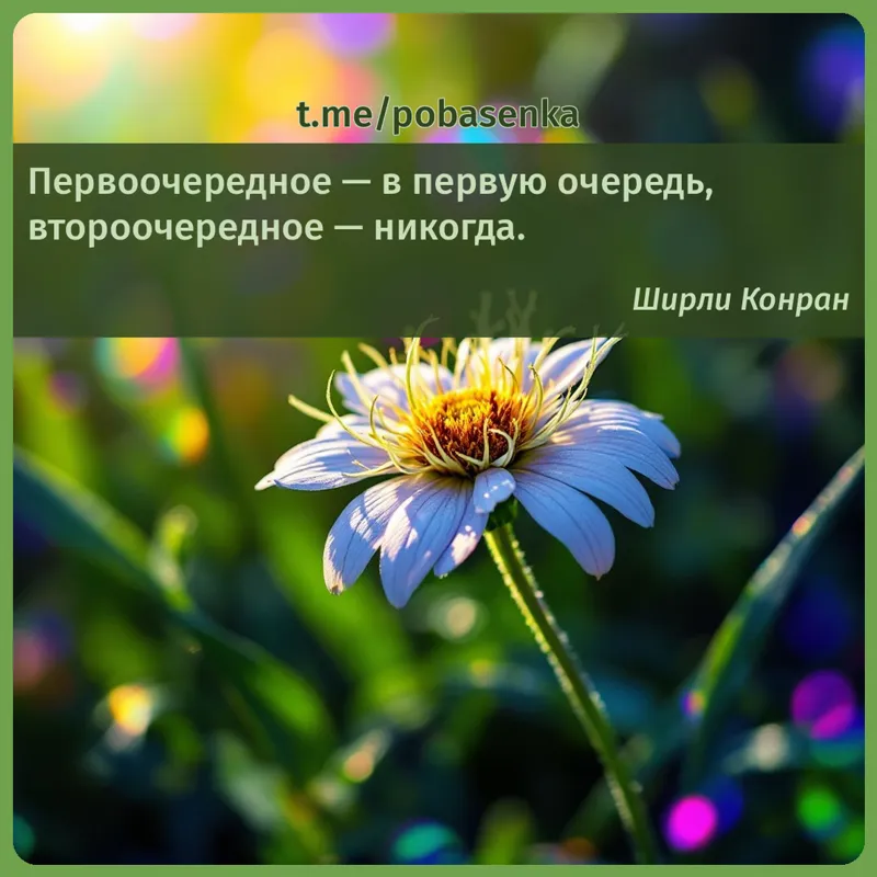 «Первоочередное — в первую очередь, второочередное —...» height="550" width="550"