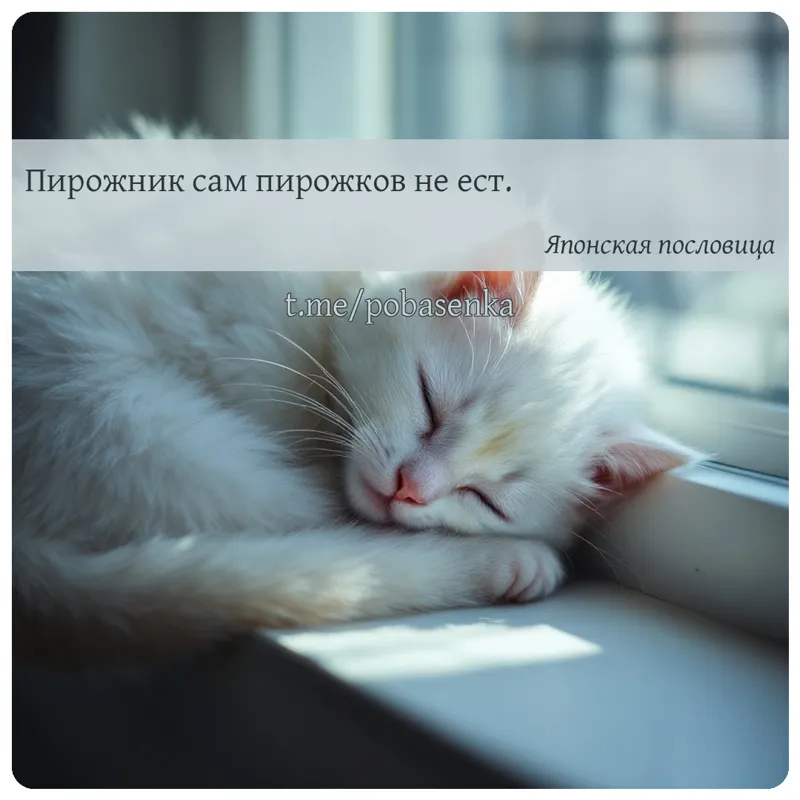 «Пирожник сам пирожков не...» height="550" width="550"