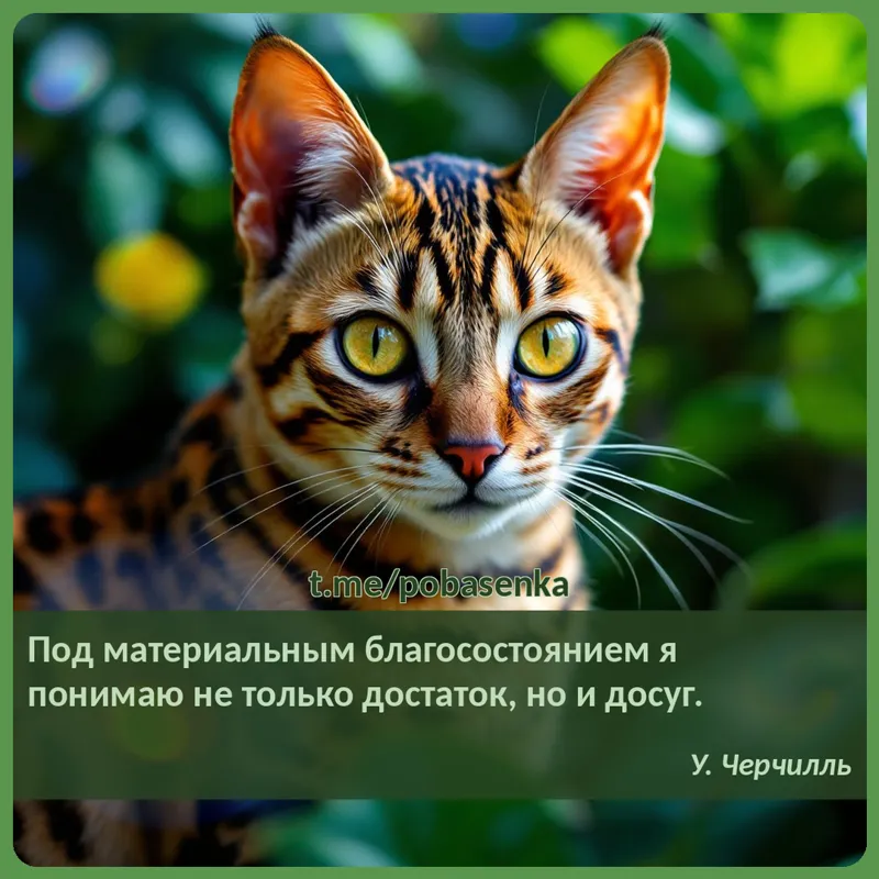 «Под материальным благосостоянием я понимаю не только достаток, но и...» height="550" width="550"