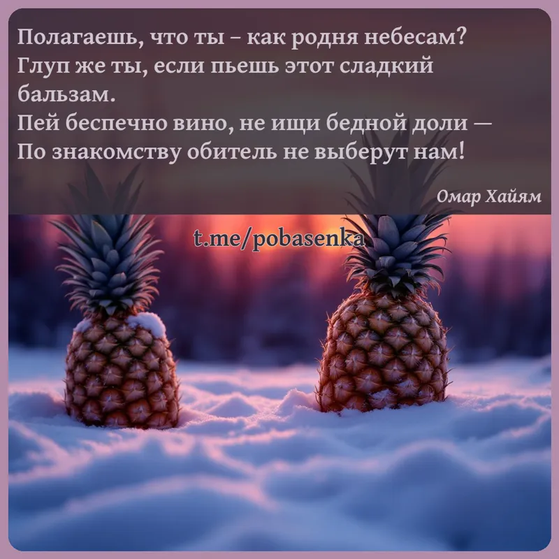 «Полагаешь, что ты как родня небесам? Глуп же ты, если пьешь этот сладкий бальзам. Пей беспечно вино, не ищи бедной доли — По...» height="550" width="550"