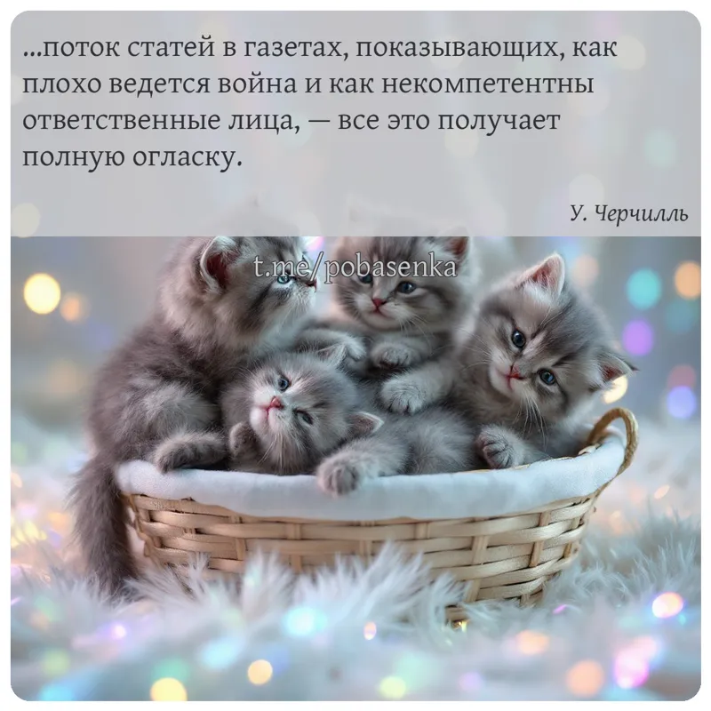 «поток статей в газетах, показывающих, как плохо ведется война и как некомпетентны ответственные лица, — все это получает...» height="550" width="550"