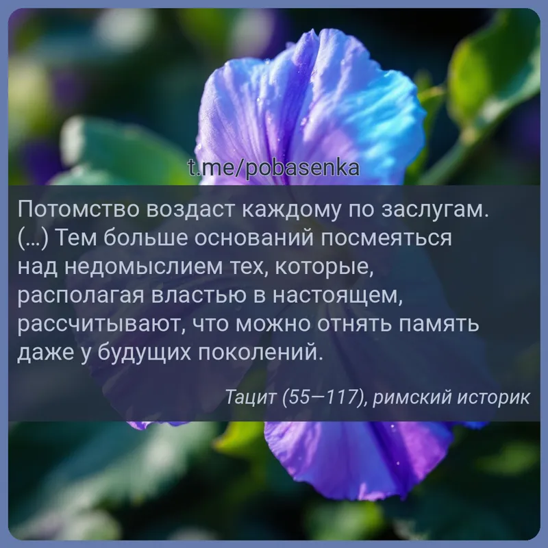 «Потомство воздаст каждому по заслугам. ( ) Тем больше оснований посмеяться над недомыслием тех, которые, располагая властью...» height="550" width="550"