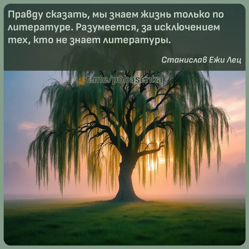 «Правду сказать, мы знаем жизнь только по литературе. Разумеется, за исключением тех, кто не знает...» height="550" width="550"