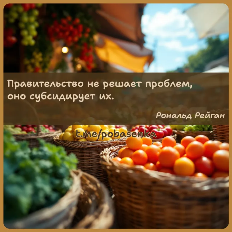 «Правительство не решает проблем, оно субсидирует...» height="550" width="550"