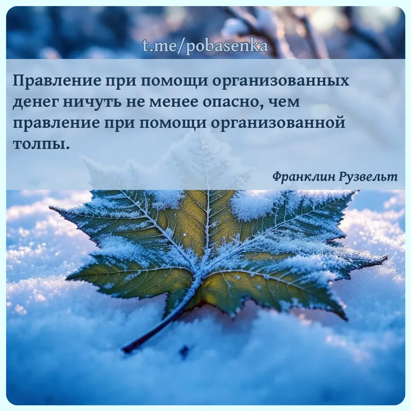 «Правление при помощи организованных денег ничуть не менее опасно, чем правление при помощи организованной...» height="550" width="550"