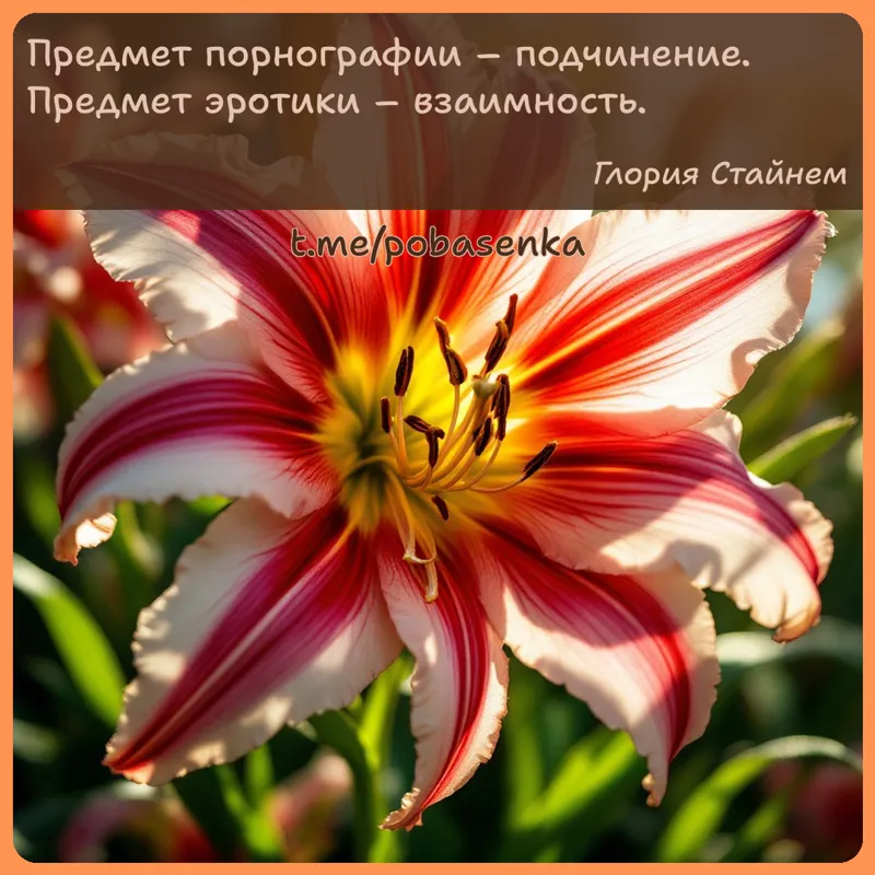 «Предмет порнографии подчинение. Предмет эротики...» height="550" width="550"