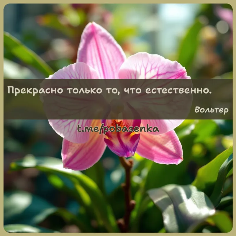 «Прекрасно только то, что...» height="550" width="550"