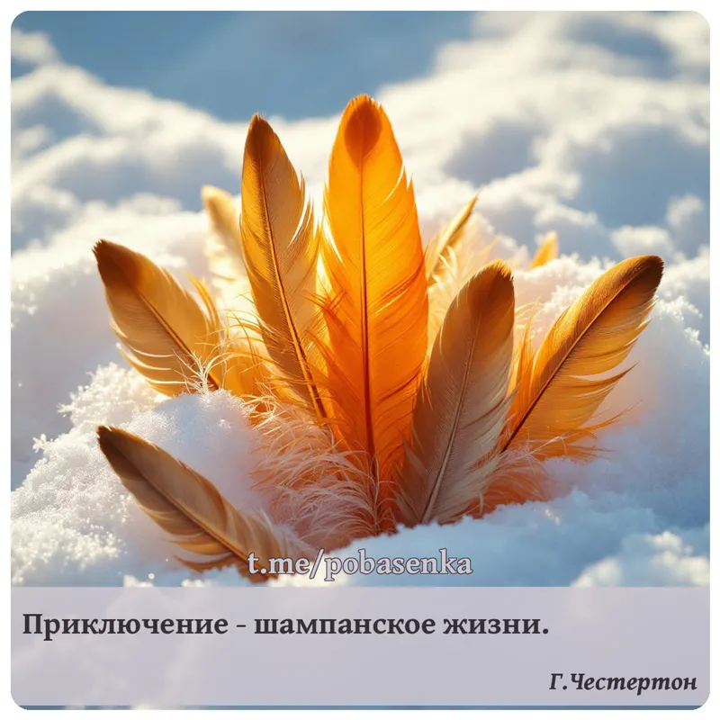«Приключение шампанское...» height="550" width="550"