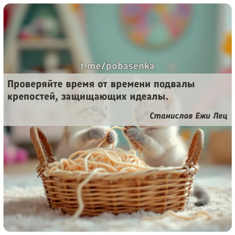 «Проверяйте время от времени подвалы крепостей, защищающих...» height="550" width="550"