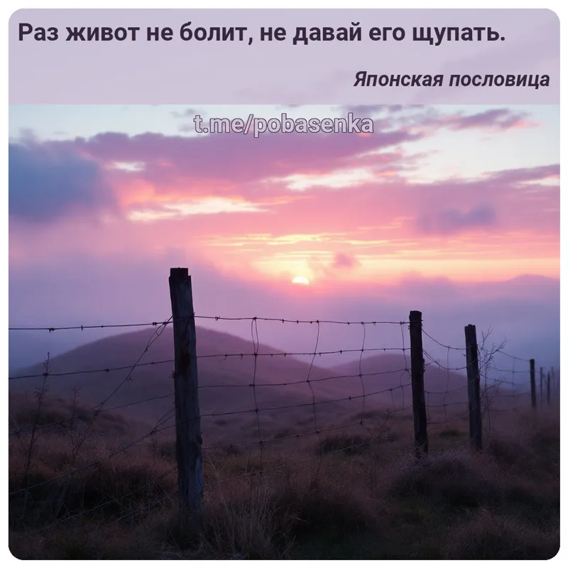 «Раз живот не болит, не давай его...» height="550" width="550"