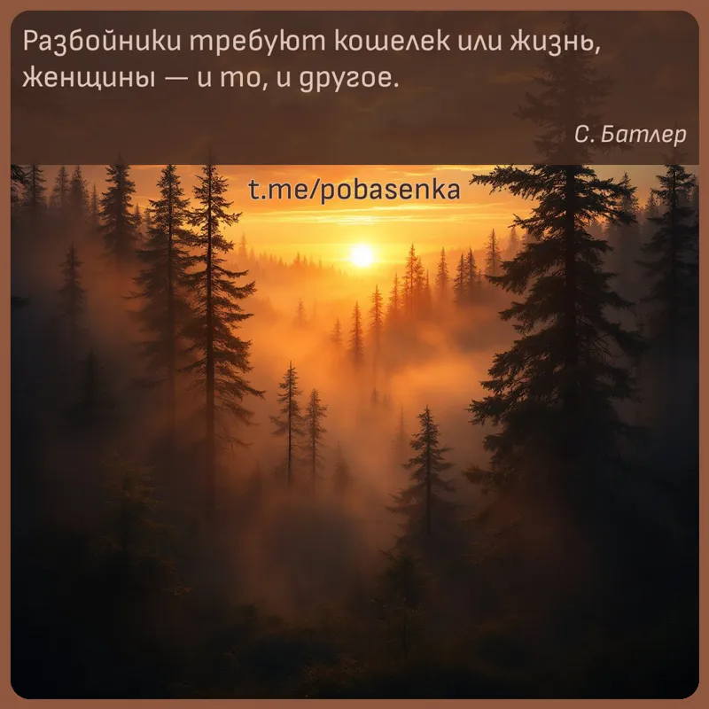 «Разбойники требуют кошелек или жизнь, женщины — и то, и...» height="550" width="550"