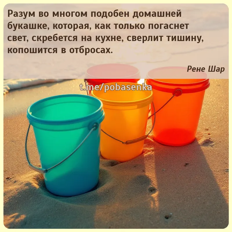 «Разум во многом подобен домашней букашке, которая, как только погаснет свет, скребется на кухне, сверлит тишину, копошится в...» height="550" width="550"