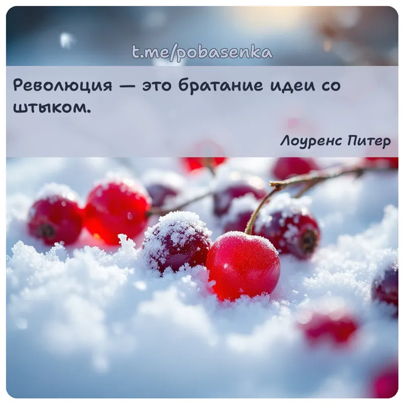 «Революция — это братание идеи со...» height="550" width="550"