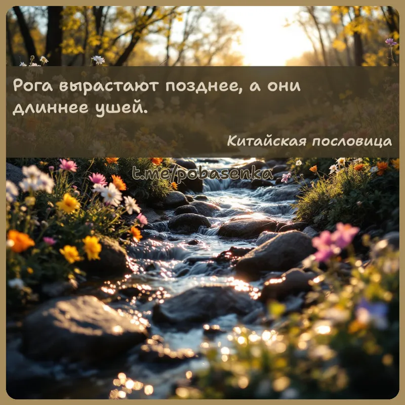 «Рога вырастают позднее, а они длиннее...» height="550" width="550"