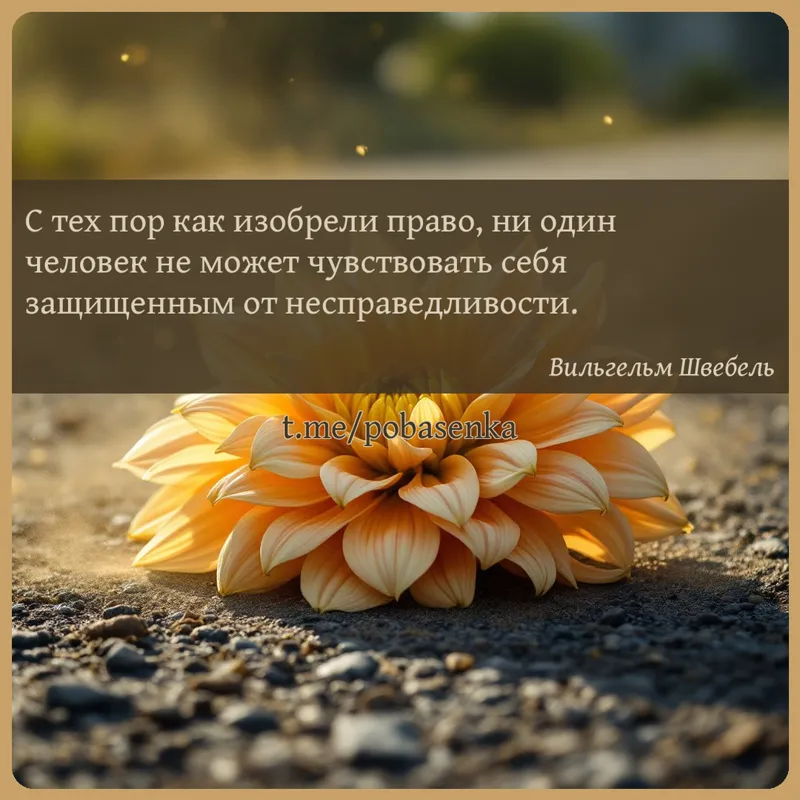 «С тех пор как изобрели право, ни один человек не может чувствовать себя защищенным от...» height="550" width="550"