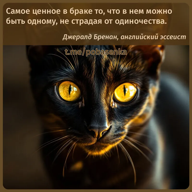 «Самое ценное в браке то, что в нем можно быть одному, не страдая от...» height="550" width="550"