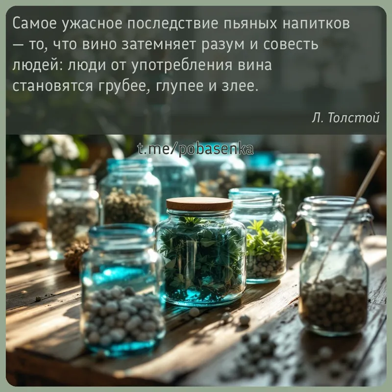 «Самое ужасное последствие пьяных напитков — то, что вино затемняет разум и совесть людей люди от употребления вина...» height="550" width="550"