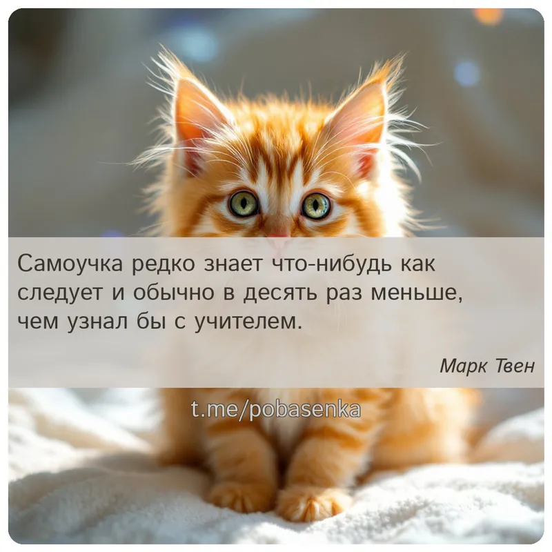 «Самоучка редко знает что нибудь как следует и обычно в десять раз меньше, чем узнал бы с...» height="550" width="550"