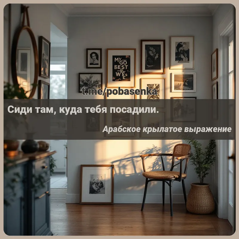 «Сиди там, куда тебя...» height="550" width="550"