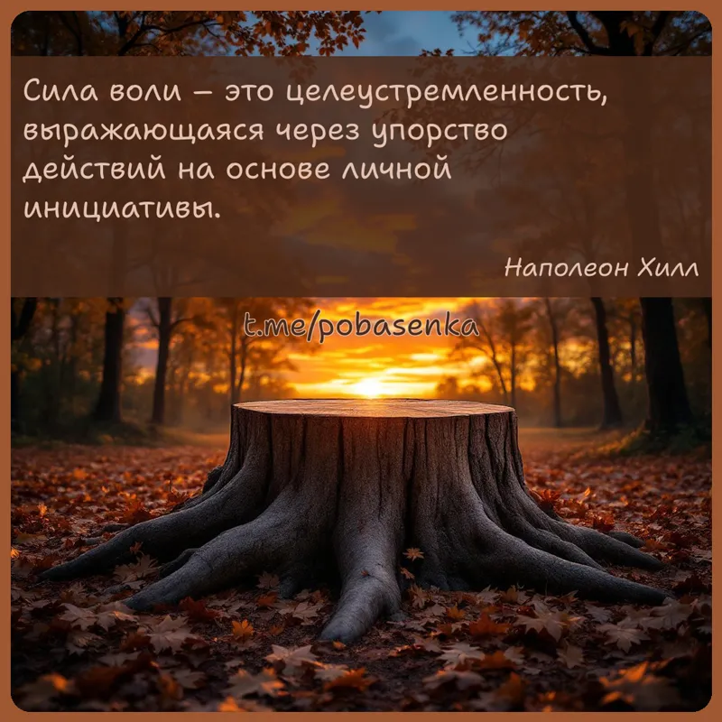 «Сила воли это целеустремленность, выражающаяся через упорство действий на основе личной...» height="550" width="550"