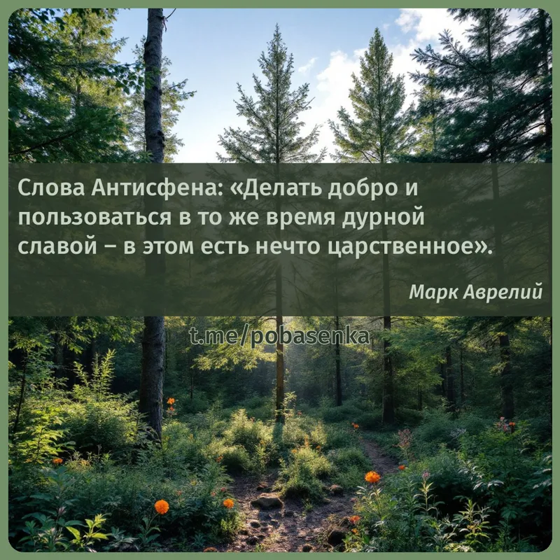 «Слова Антисфена Делать добро и пользоваться в то же время дурной славой в этом есть нечто царственное...» height="550" width="550"