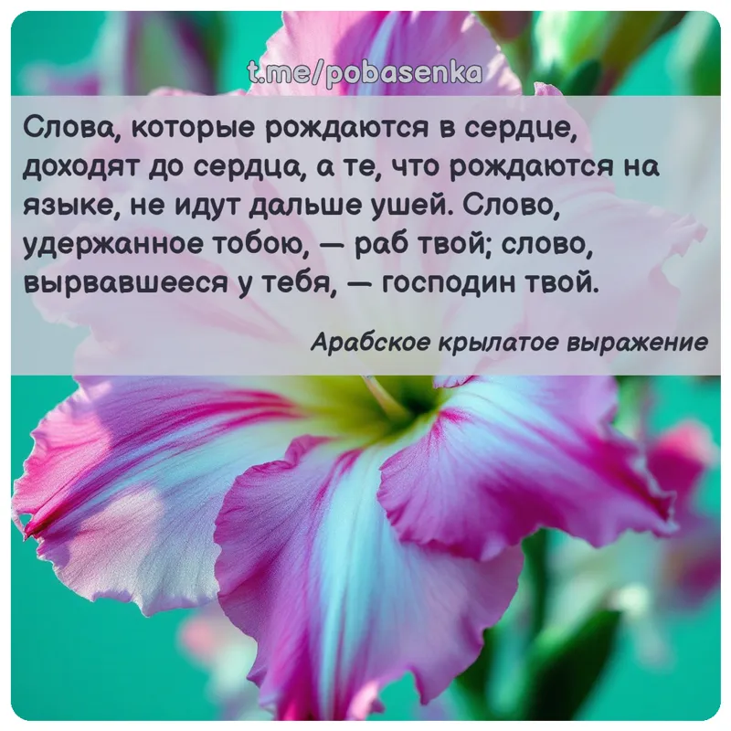 «Слова, которые рождаются в сердце, доходят до сердца, а те, что рождаются на языке, не идут дальше ушей. Слово, удержанное...» height="550" width="550"