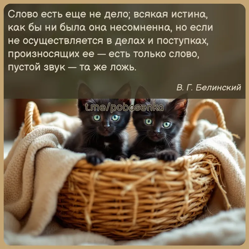 «Слово есть еще не дело; всякая истина, как бы ни была она несомненна, но если не осуществляется в делах и поступках,...» height="550" width="550"