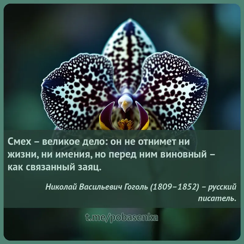 «Смех великое дело он не отнимет ни жизни, ни имения, но перед ним виновный как связанный...» height="550" width="550"