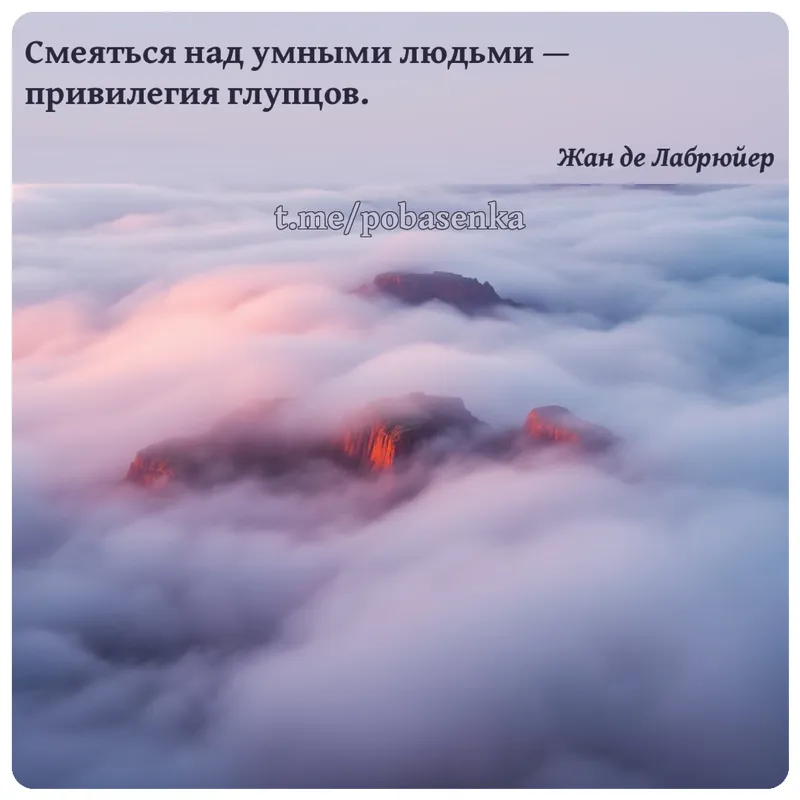«Смеяться над умными людьми — привилегия...» height="550" width="550"
