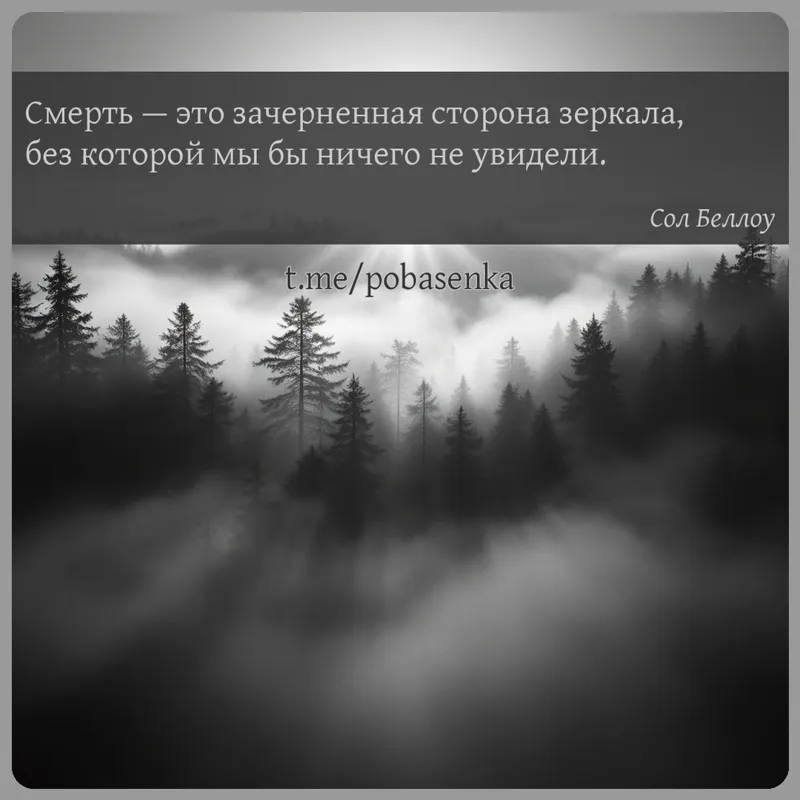 «Смерть — это зачерненная сторона зеркала, без которой мы бы ничего не...» height="550" width="550"