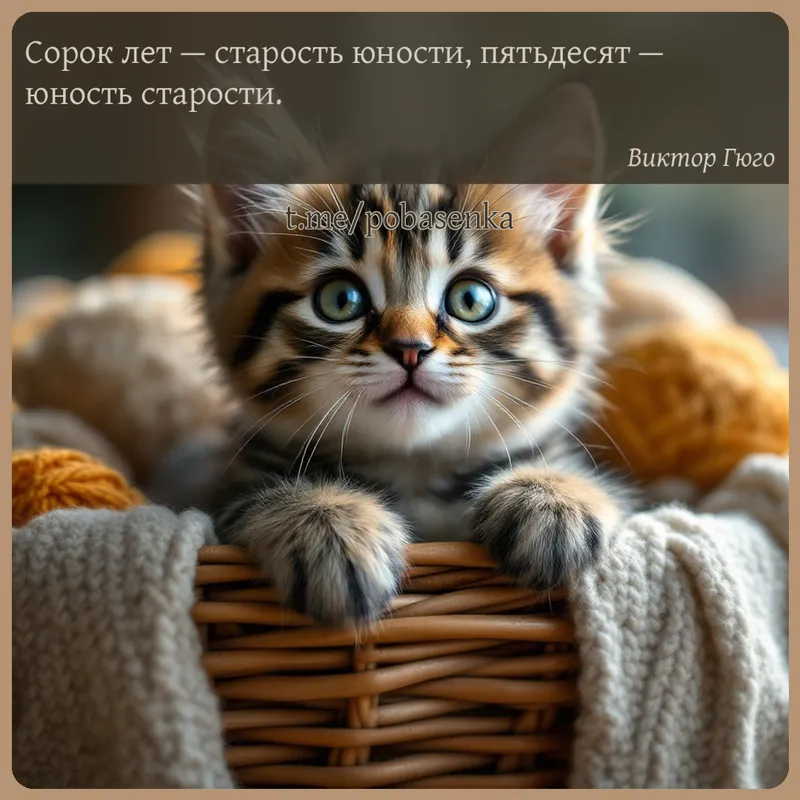 «Сорок лет — старость юности, пятьдесят — юность...» height="550" width="550"