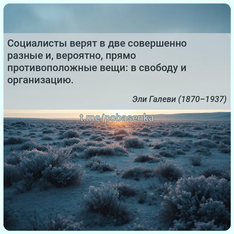 «Социалисты верят в две совершенно разные и, вероятно, прямо противоположные вещи в свободу и...» height="550" width="550"