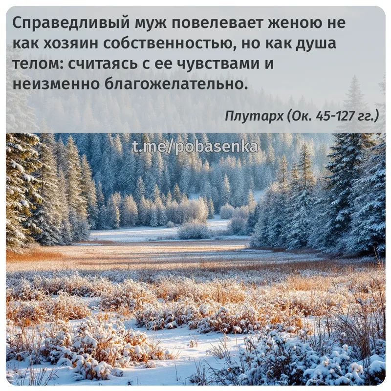 «Справедливый муж повелевает женою не как хозяин собственностью, но как душа телом считаясь с ее чувствами и неизменно...» height="550" width="550"
